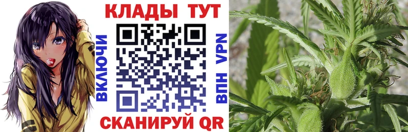 Виды наркотиков купить Кологрив ГАШИШ Бутират Alpha-PVP МЕФ Codein Марихуана
