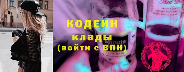 хмурый Белокуриха