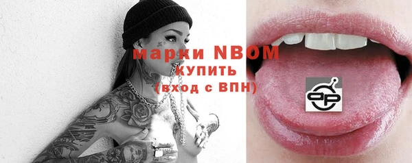 хмурый Белокуриха