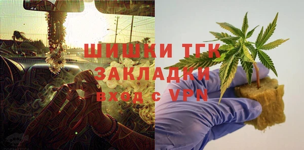 хмурый Белокуриха