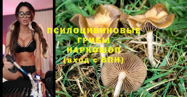 метадон Беломорск