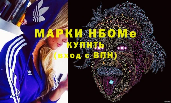 хмурый Белокуриха