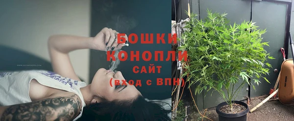 СК Снежногорск