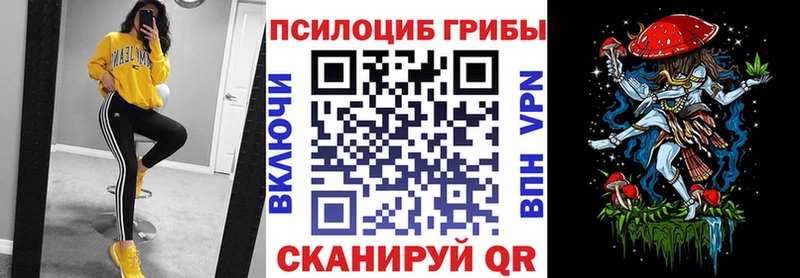 купить закладку  Кологрив  Псилоцибиновые грибы GOLDEN TEACHER 